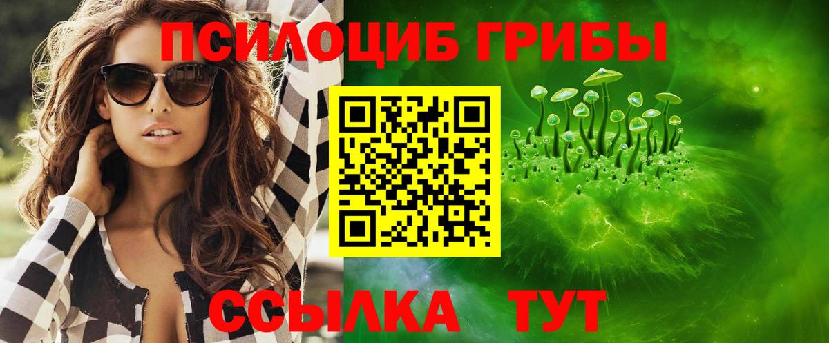 Гурьевск  Галлюциногенные грибы прущие грибы  Вход с VPN  дарнет шоп  Псилоцибиновые грибы Cubensis 